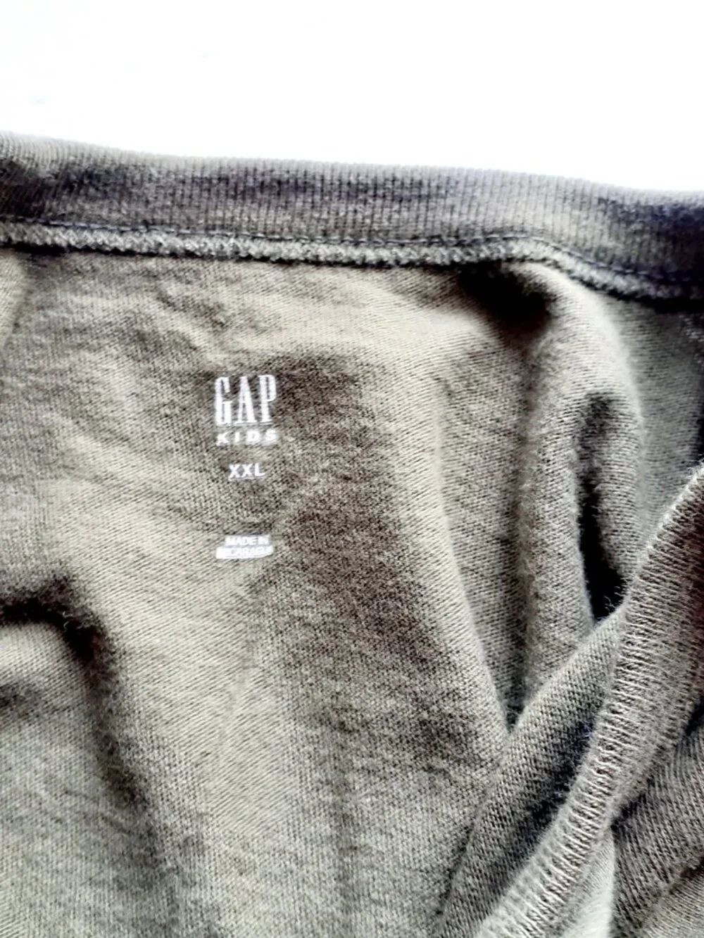 Gap Boys T-Shirt Green Bear Outdoors Nature Long Sleeve Logo XXL 14-16